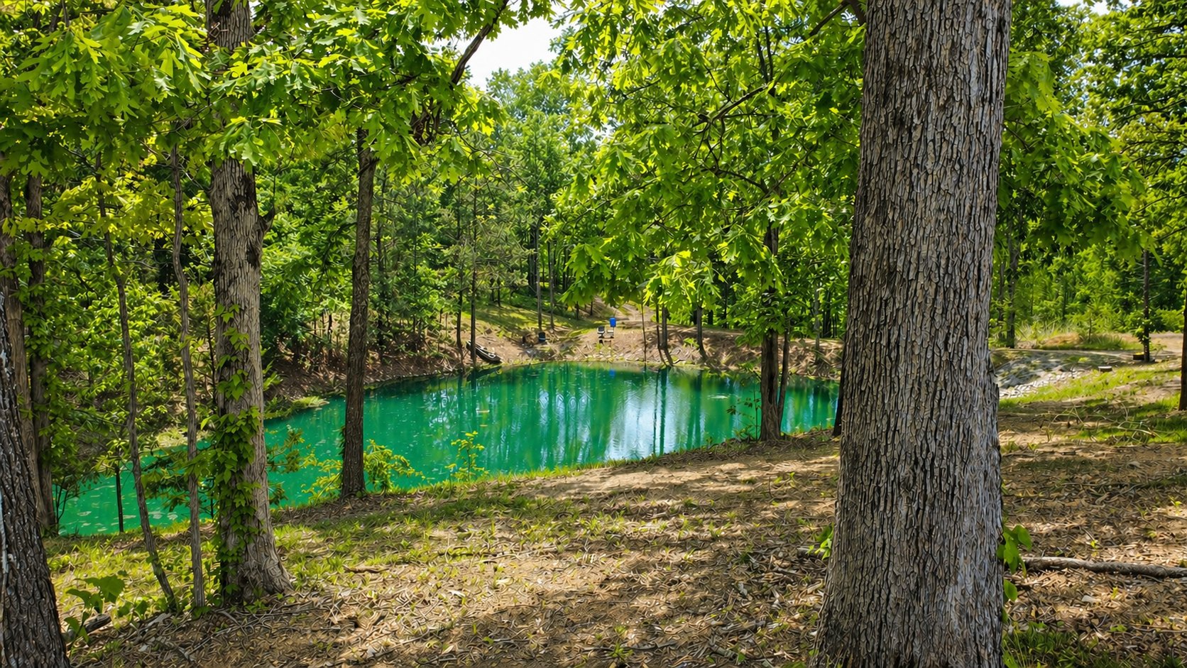 Stocked pond set into the wooded acreage